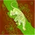 FilipGavrilo_1604241