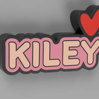 Hộp đèn LED/WLED phát sáng tên Kiley (lightbox diffuser 2 màu)