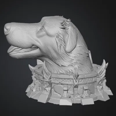 Chú chó của mình tên Joy