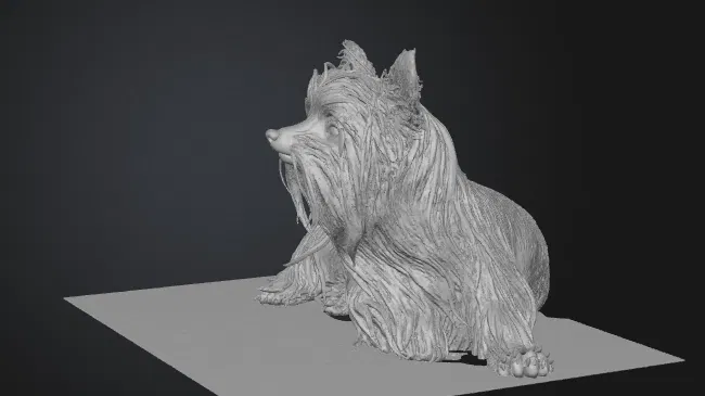 Mô hình 3D Yorkshire Terrier (yorkshire_terrier) - Image 1