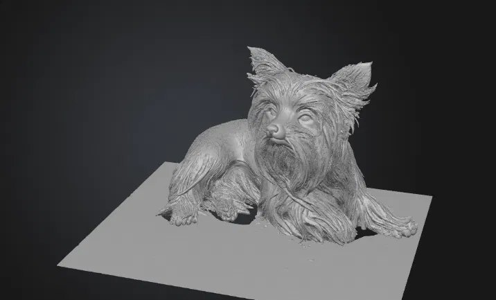 Mô hình 3D Yorkshire Terrier (yorkshire_terrier) - Image 2