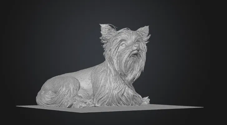 Mô hình 3D Yorkshire Terrier (yorkshire_terrier) - Image 3