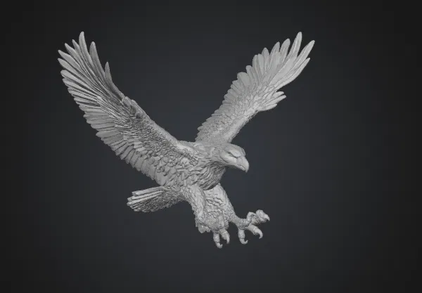 Adler_Sturzflug - Image 1