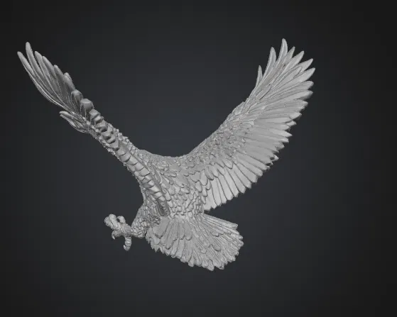 Adler_Sturzflug - Image 3