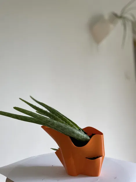 “mushroom” - Vessel 03 - Image 2