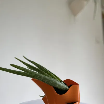 “mushroom” - Vessel 03