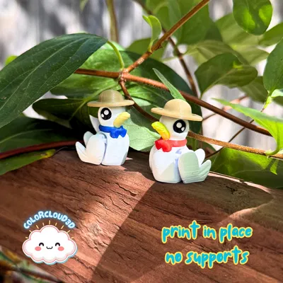 Seagulliver – Hải âu Flexi mê biển nắng