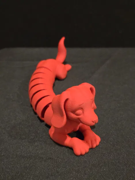 Chó Lạp Xưởng Khớp Nối (Wiener / Dachshund) - Image 4