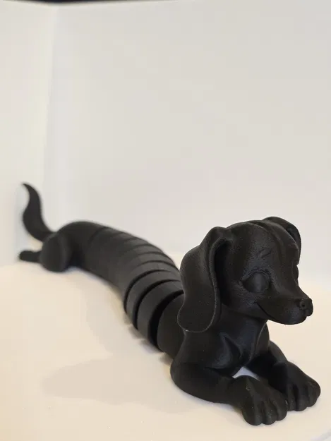 Chó Lạp Xưởng Khớp Nối (Wiener / Dachshund) - Image 5