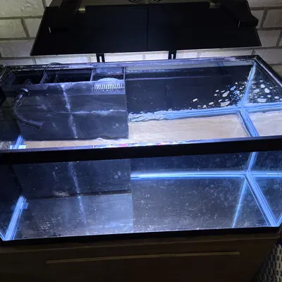 Bộ lọc 40 Breeder All In One (AIO) Filter in 3D