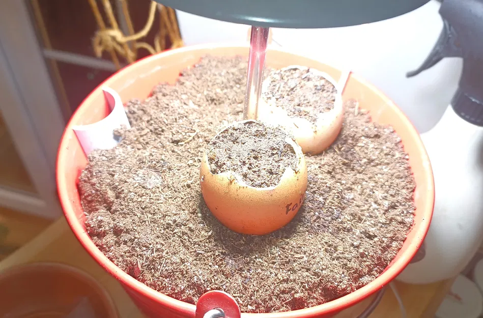 Insert trồng cây cho xô IKEA SOCKER (Grow Insert) – thoát nước tốt hơn - Image 3