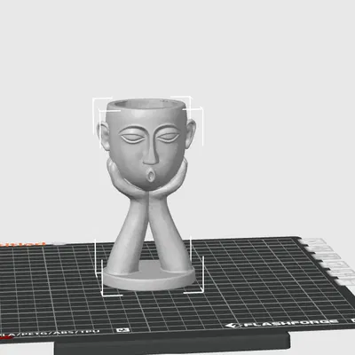 Chậu Hoa Thiết Kế Đặc Biệt (Design Flower Pot)