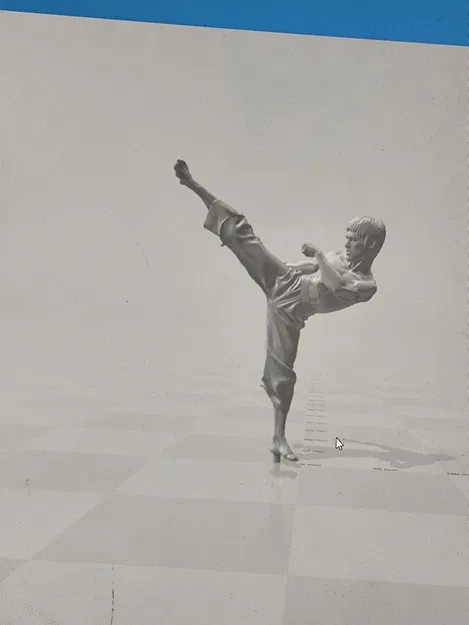 Mô hình võ thuật (martial arts model) - Image 1