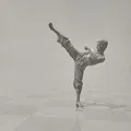Mô hình võ thuật (martial arts model) - Thumbnail 1