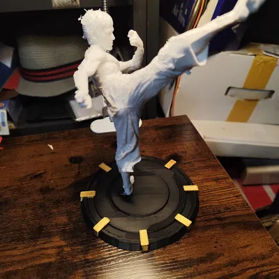 Mô hình võ thuật (martial arts model)