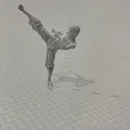 Mô hình võ thuật (martial arts model) - Thumbnail 6
