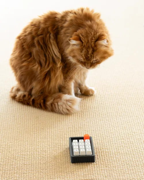 HaloPad V2 (Vỏ Adafruit Macropad) – Enclosure in 3D - Image 7