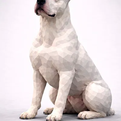 Dogo Argentino Low Poly
