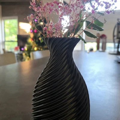 Bình hoa (Vase)