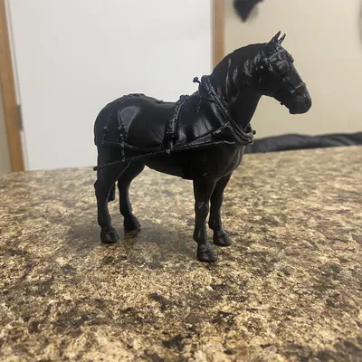 Ngựa kéo Belgian (Draught/Draft) kèm bộ Harness/Tack