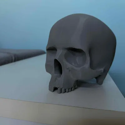 Lidská Lebka (Hộp Sọ Người)