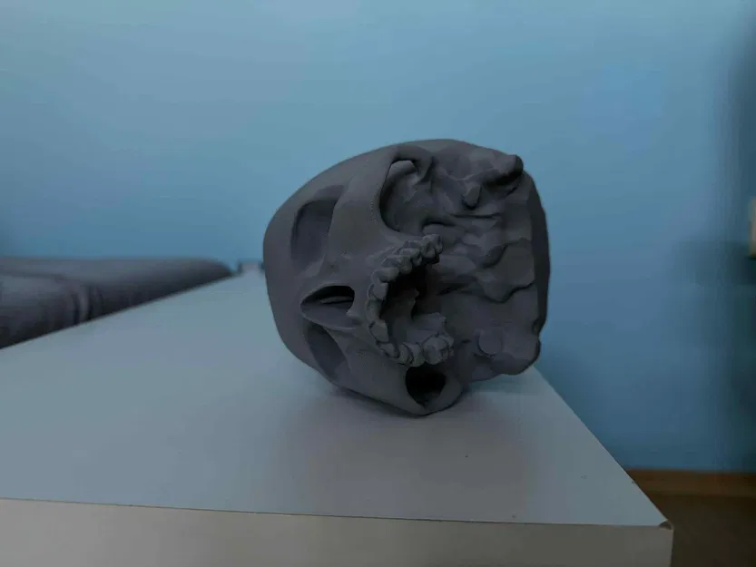 Lidská Lebka (Hộp Sọ Người) - Image 3