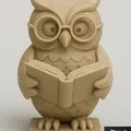 Cú Mọt Sách (Bookworm Owl) - Thumbnail 1
