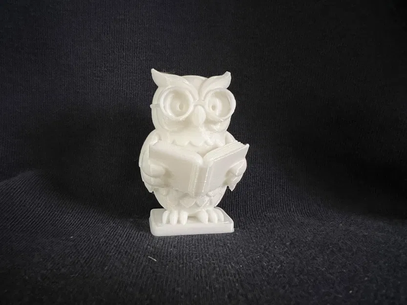 Cú Mọt Sách (Bookworm Owl) - Image 2