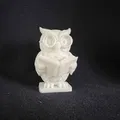 Cú Mọt Sách (Bookworm Owl) - Thumbnail 2