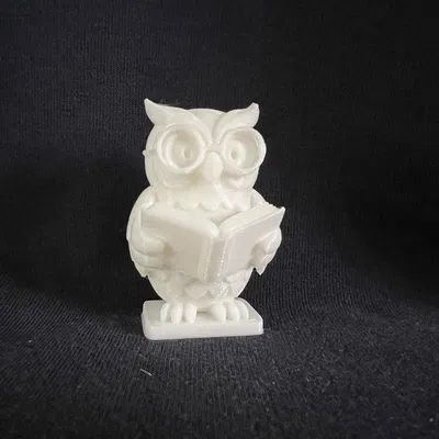 Cú Mọt Sách (Bookworm Owl)