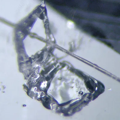 Gá Gimbal Xoay 3 Trục Cho Lam Kính Hiển Vi (Microscope Slide Rotating Gimbal Mount)