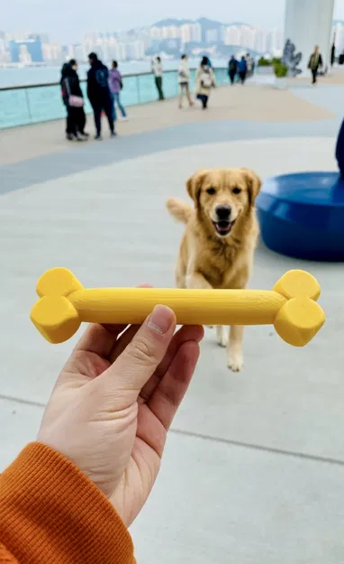 Đồ chơi khúc xương (Bone Toy) - Image 1