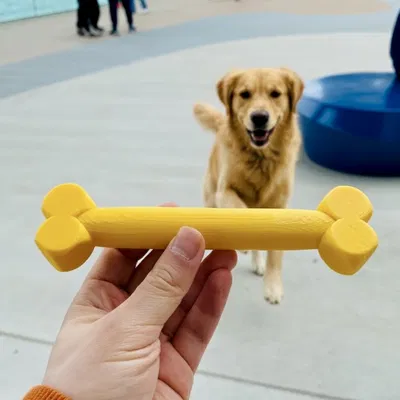 Đồ chơi khúc xương (Bone Toy)