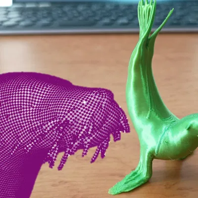 Hải cẩu - viền 3D