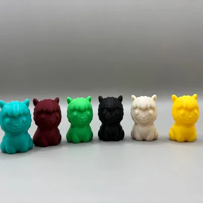 Paka – Bé Alpaca Nhỏ