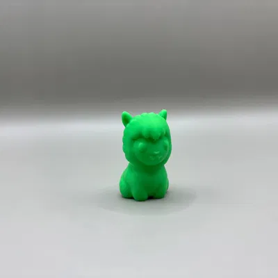 Paka – Bé Alpaca Nhỏ