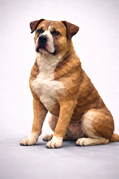 Perro de Presa Mallorquin - Image 1