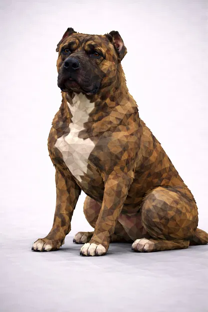 Perro de Presa Canario - Image 1