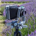 Vega 4x5 View Camera - Thumbnail 5