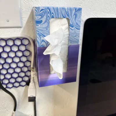 Giá treo tường hộp khăn giấy Kleenex (Kleenex tissue box wall mounted holder)