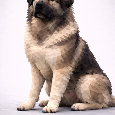 Chó Sarplaninac Low Poly