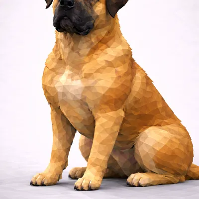 Chó Boerboel Low Poly