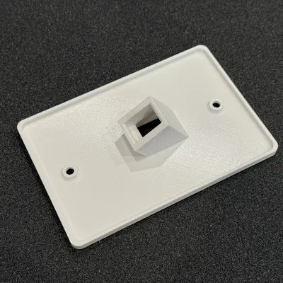 Mặt che tường RJ45 cho Central Vac (Central Vac RJ45 wall plate)