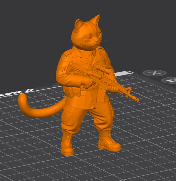 Chú mèo quân đội (The Military cat) - Image 1