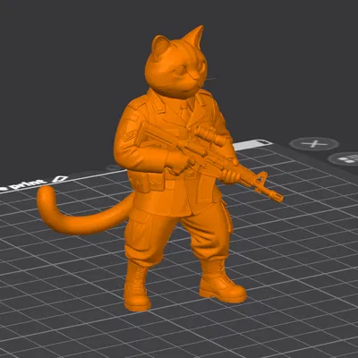 Chú mèo quân đội (The Military cat)