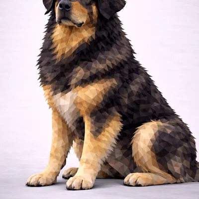 Chó Hovawart Low Poly