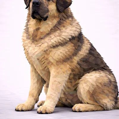 Spanish Mastiff Low Poly
