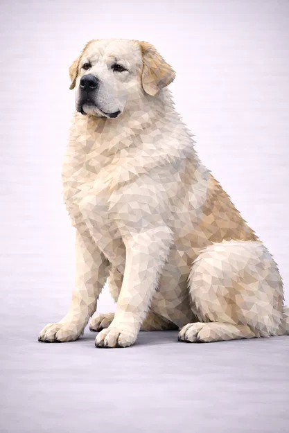 Chó chăn cừu Trung Á Alabay (Central Asian Shepherd Dog Alabay) - Image 1