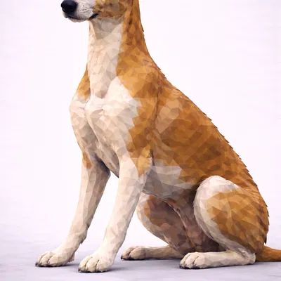 Greyhound Low Poly