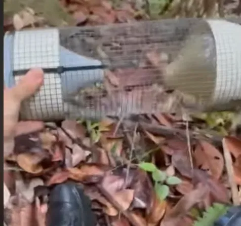 Cổng một chiều cho bẫy lưới nhôm (One Way Interface for Aluminum Mesh Traps) - Image 3